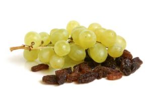 Raisins and Grapes can be highly toxic