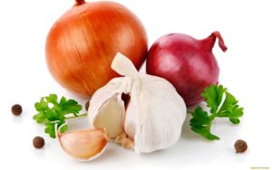 Onions and Garlic contain toxic substances which are toxic to dogs