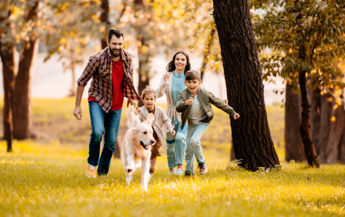 Training the Family Dog: Whose Responsibility is It?