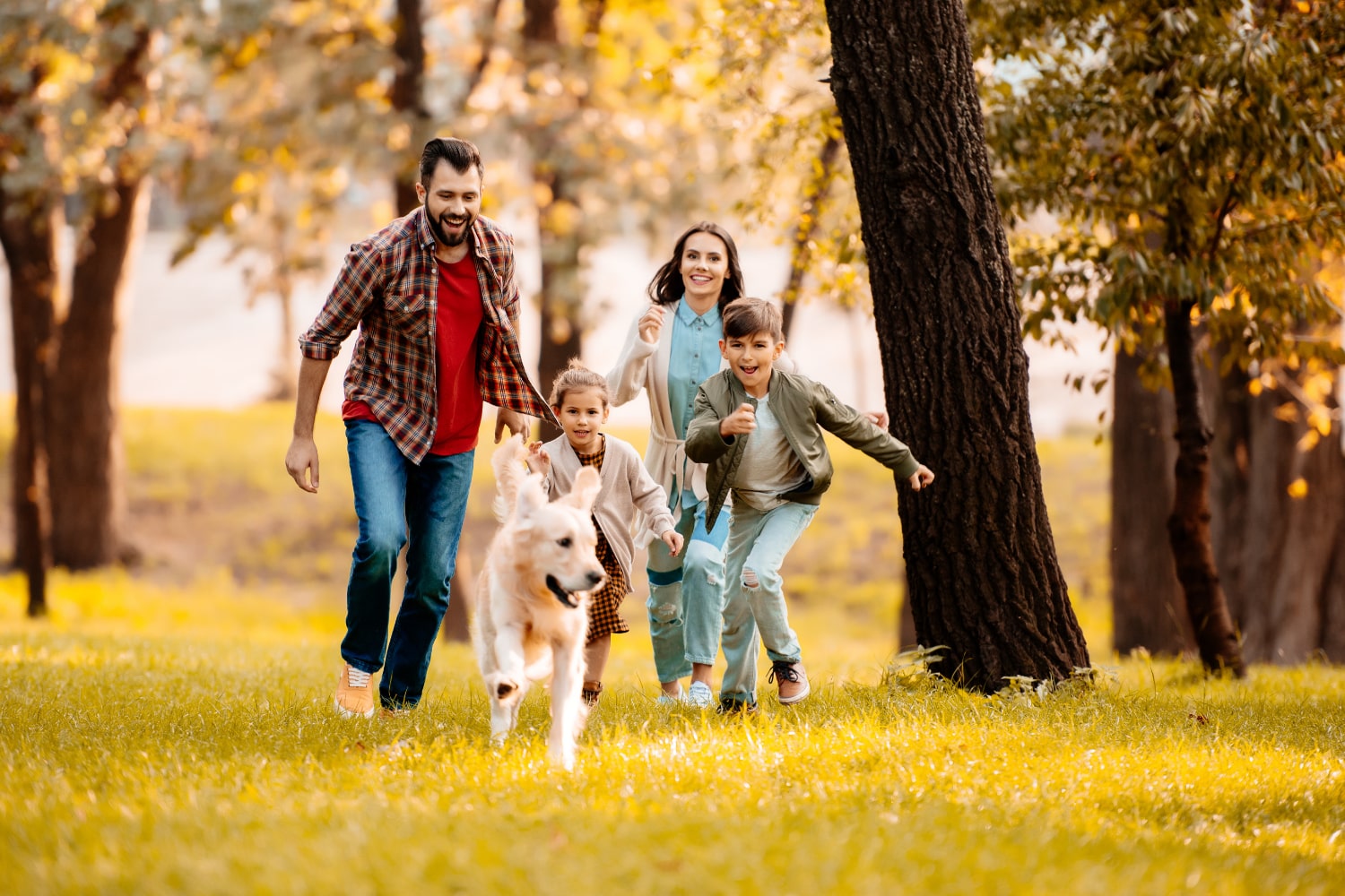 Training the Family Dog: Whose Responsibility is It?