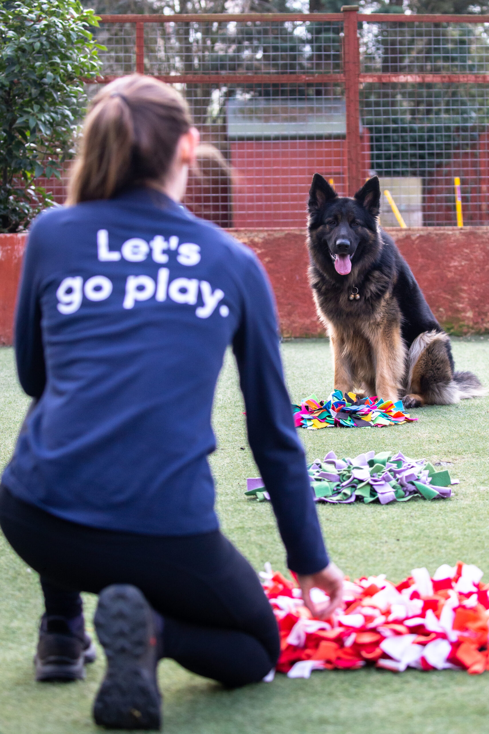 Brand-Snuffle-mat-lets-go-play-rupert-gsd-scaled