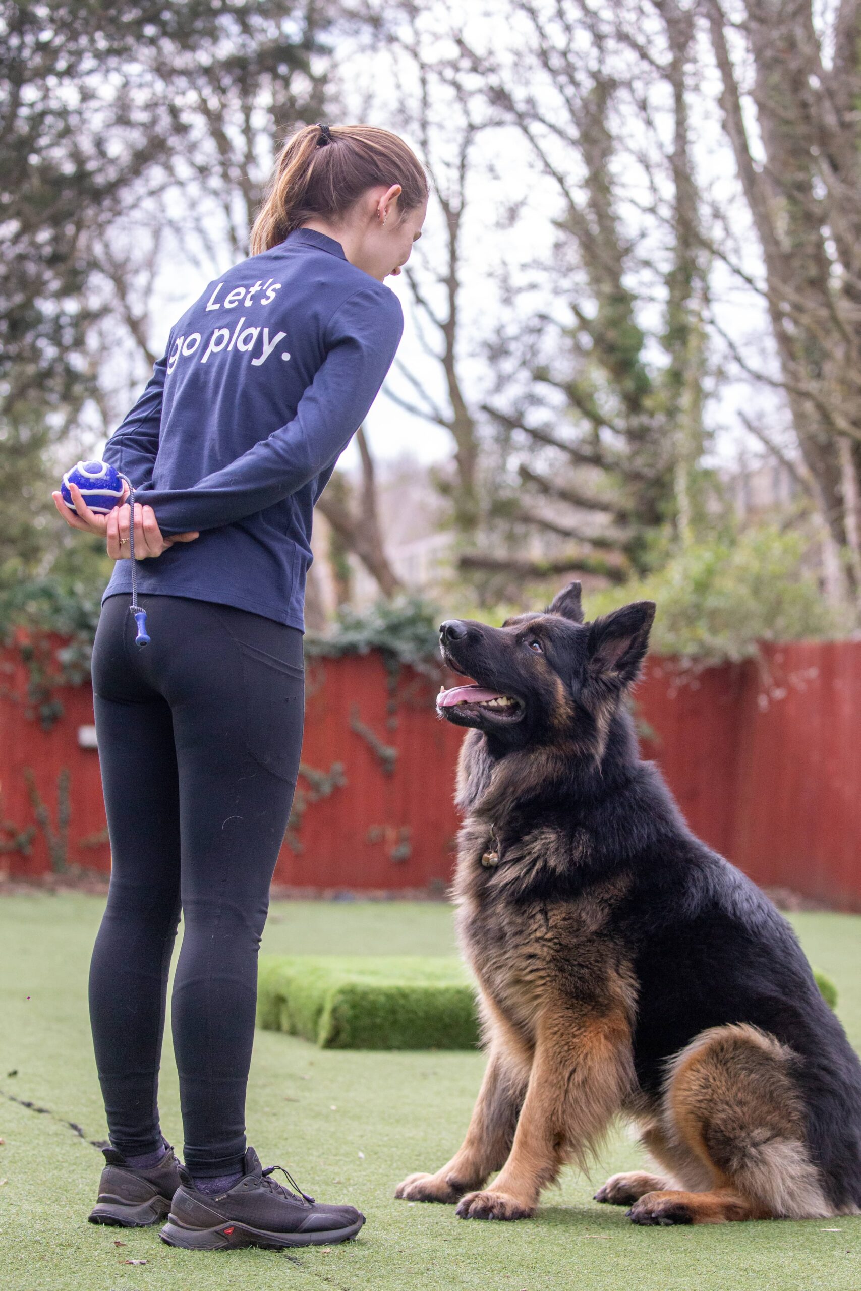 Brand-Vicky-Lets-Go-Play-Rupert-GSD-training-sit-scaled