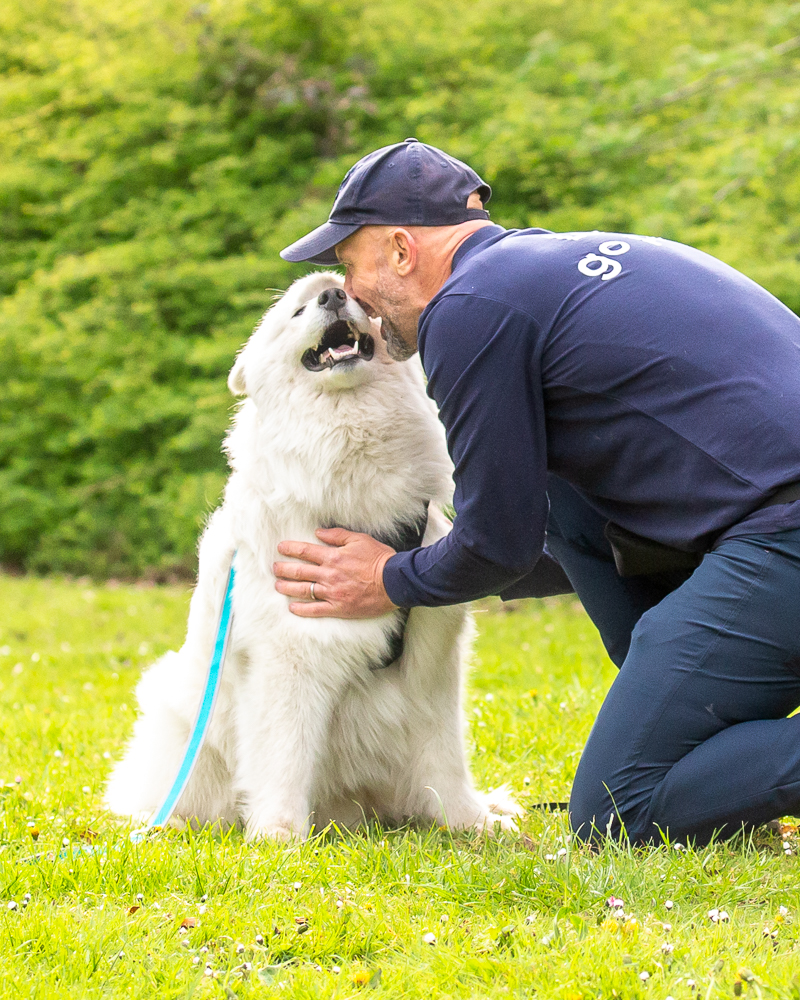 Dog-Training-Our-Slogan