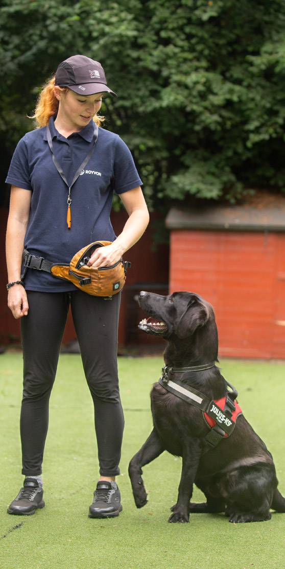 A black dog looking at a female dog trainer