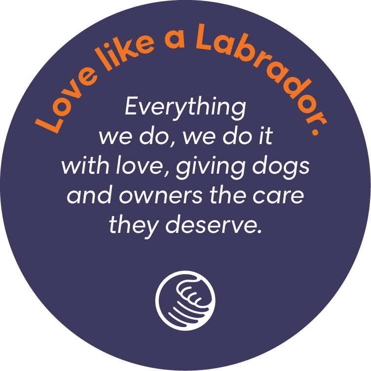 Love like a Labrador