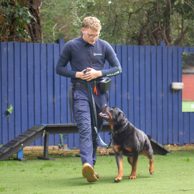 Fletcher Royvon Dog Trainer