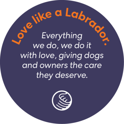 Core Values. Loves like a Labrador